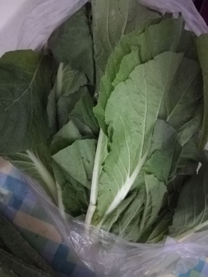 妈妈把晒好的核桃分成了五份······