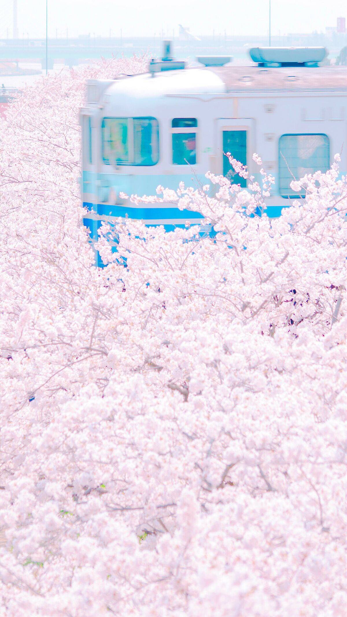 情话九宫格壁纸,情话壁纸图片大全集