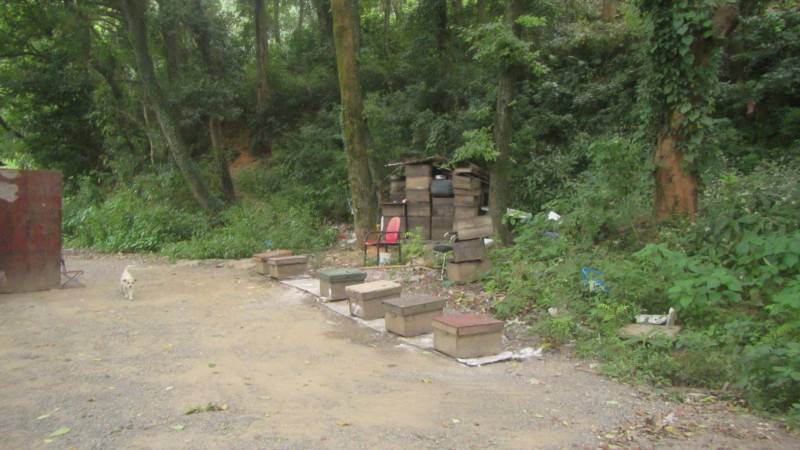 苏州西塘乌镇二日游团从杭州出发,苏州西塘乌镇二日一夜