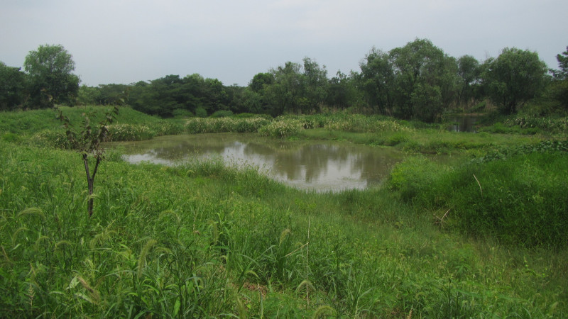 苏州西塘乌镇二日游团从杭州出发,苏州西塘乌镇二日一夜