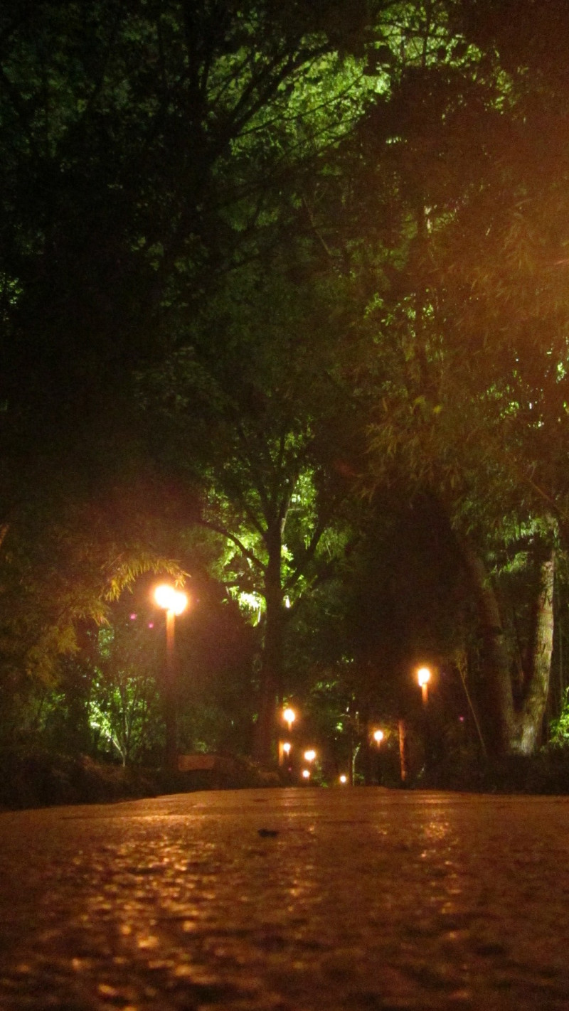 苏州西塘乌镇二日游团从杭州出发,苏州西塘乌镇二日一夜