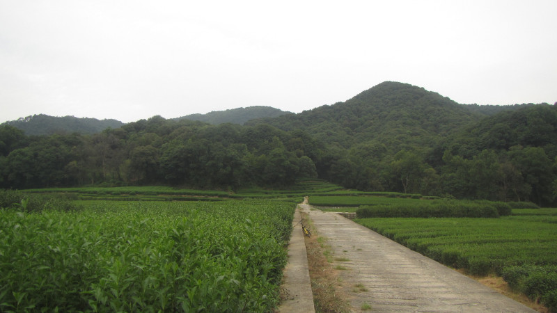 苏州西塘乌镇二日游团从杭州出发,苏州西塘乌镇二日一夜