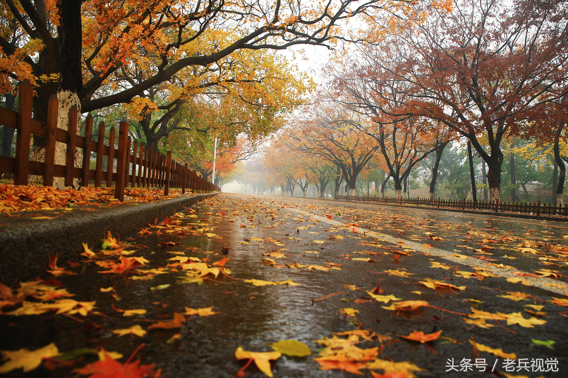 大连的秋天,大连附近秋天值得去的城市