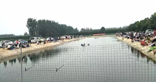 行营钓鱼比赛现场直播,行营钓鱼节