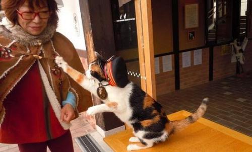 小米mix2尊享版标准版,小米mix2尊享版有限量版吗