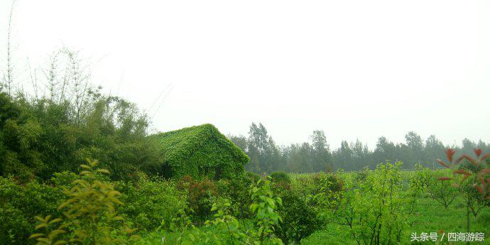 浙江玉环漩门湾国家湿地公园灯光,浙江玉环漩门湾湿地公园拍鸟