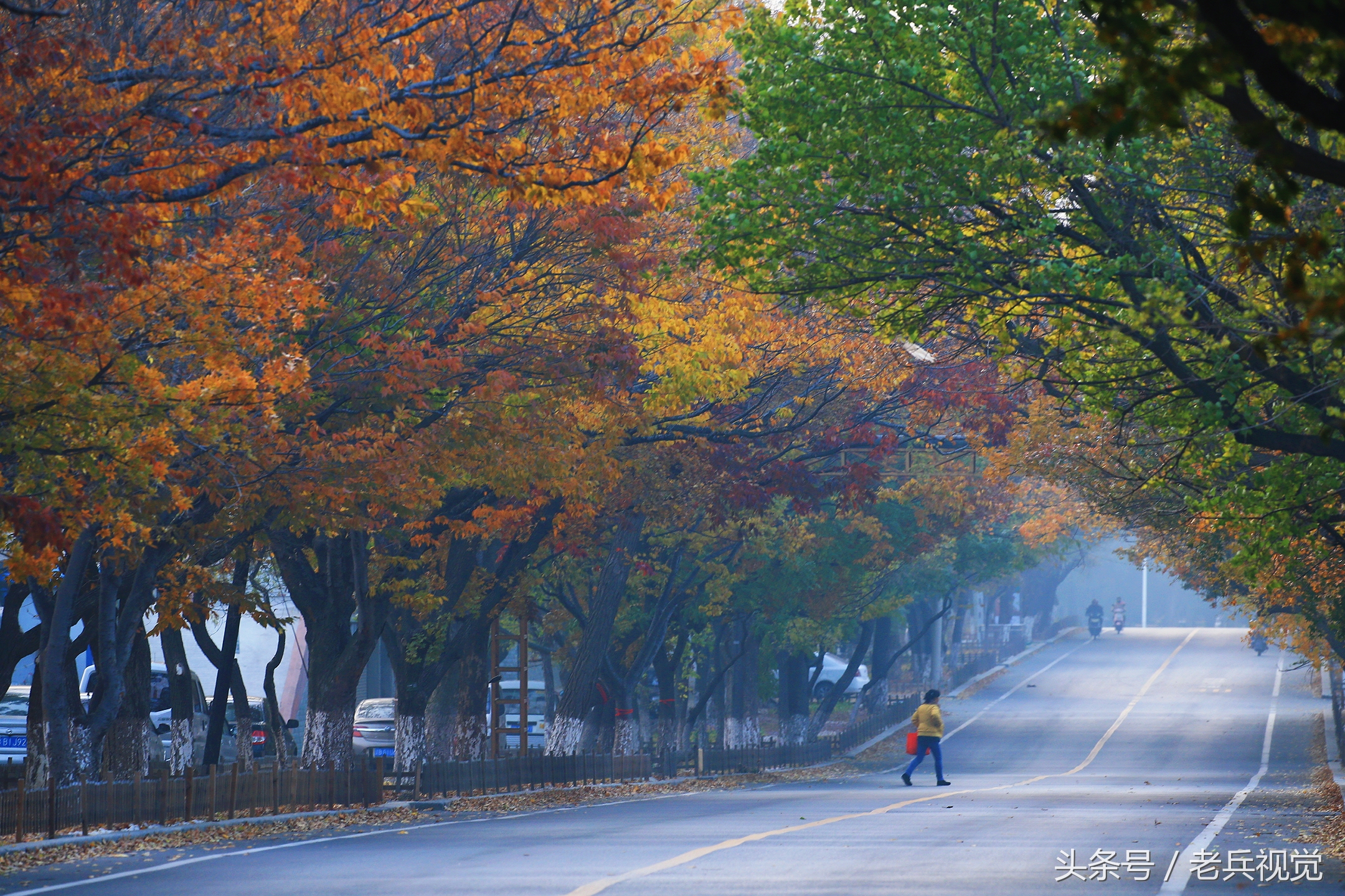 大连的秋天,大连附近秋天值得去的城市