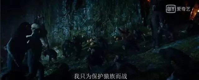 猩球崛起回顾,猩球崛起1到3全部一口气看完