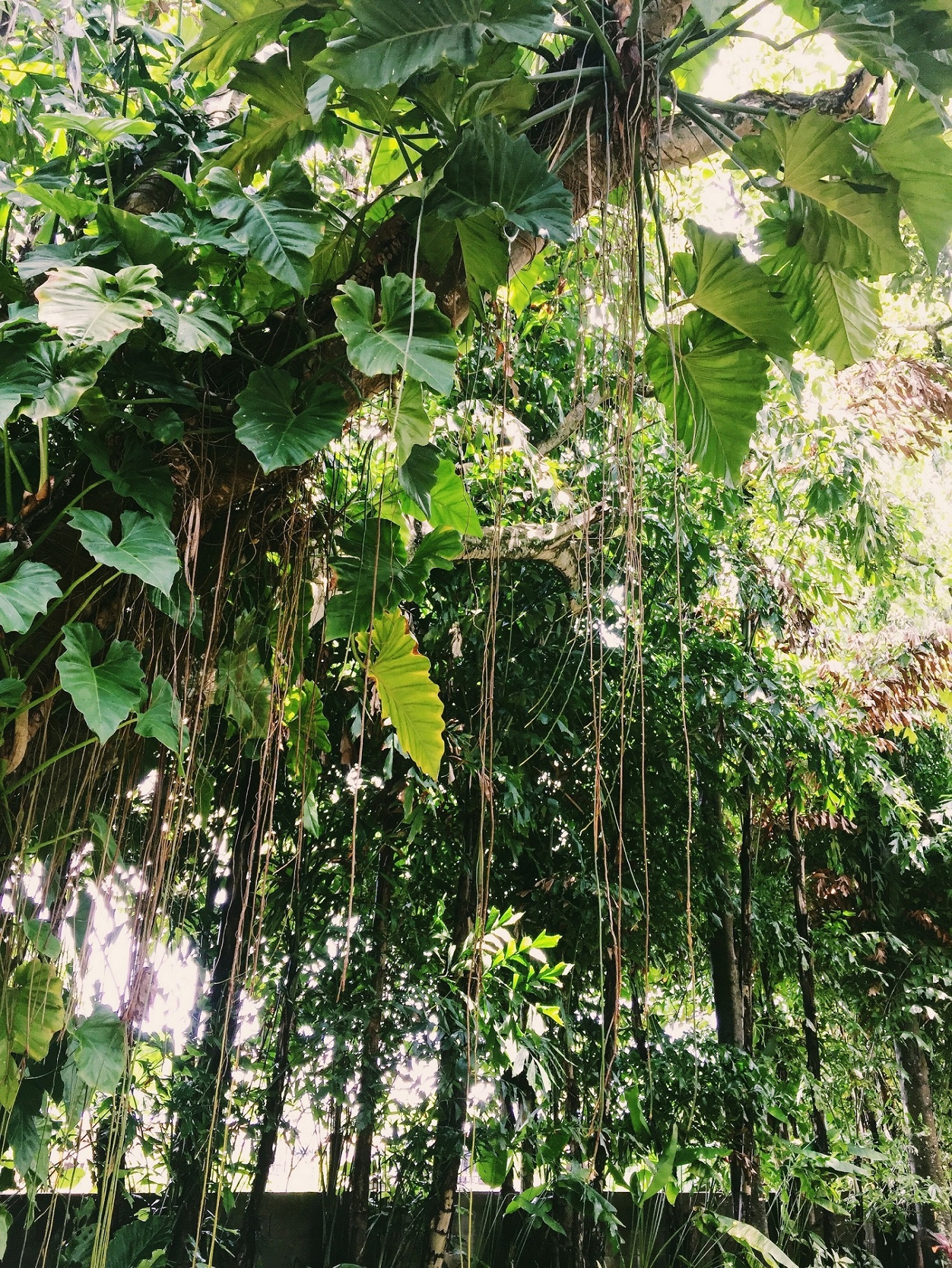 普吉岛七天自由行,十一去普吉岛旅游攻略