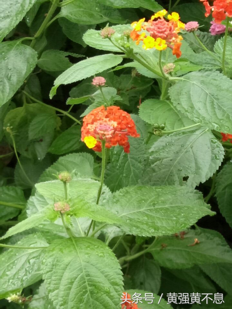昆山市区旅游推荐,昆山旅游去哪里比较好