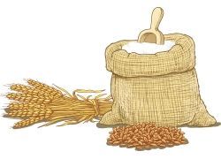 致癌和中毒二选一，揭露火腿肠的真面目！不要再跟健康过不去了