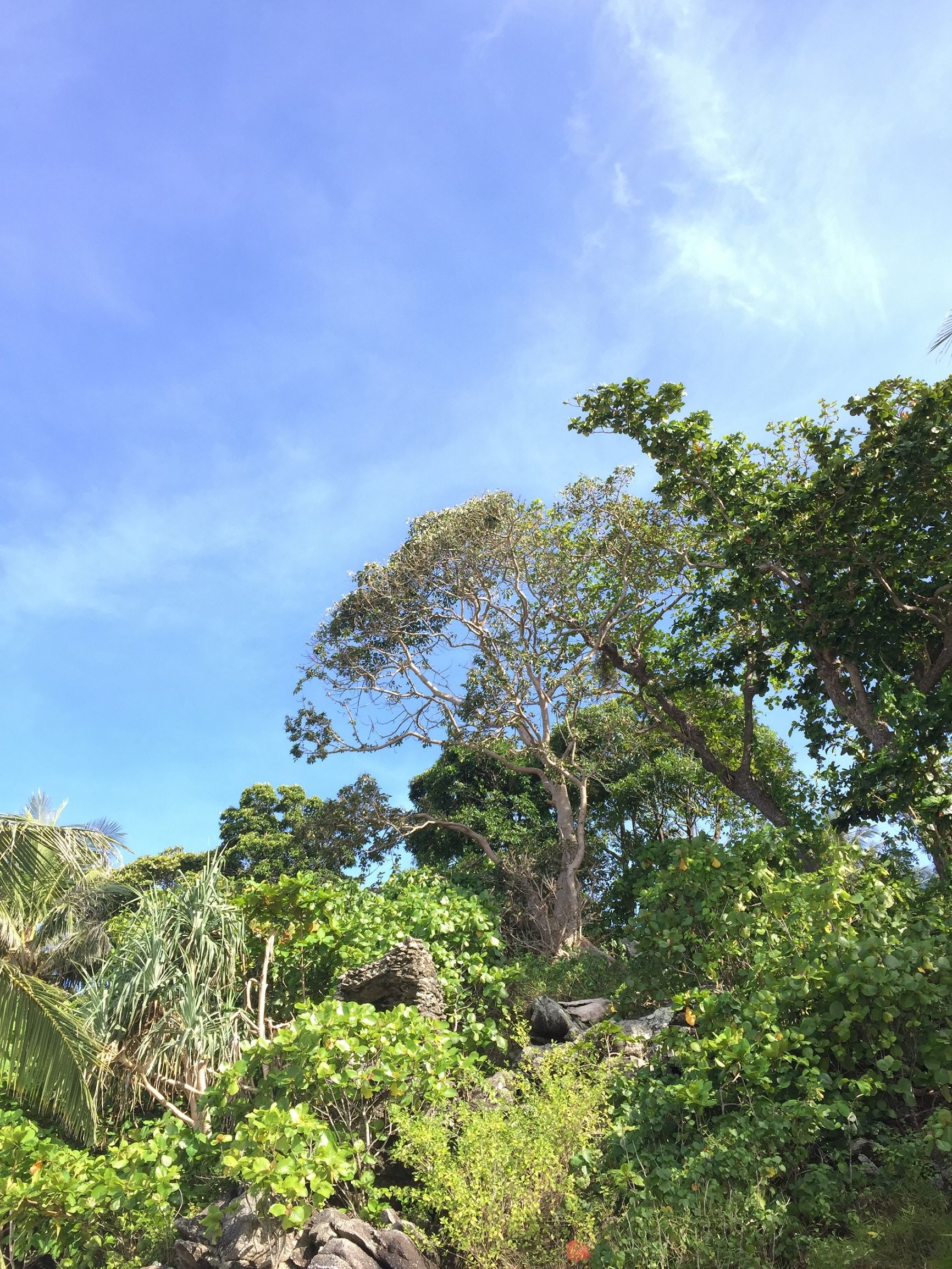 普吉岛七天自由行,十一去普吉岛旅游攻略