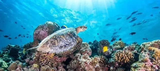 马尔代夫6星性价比,马尔代夫7星度假套餐