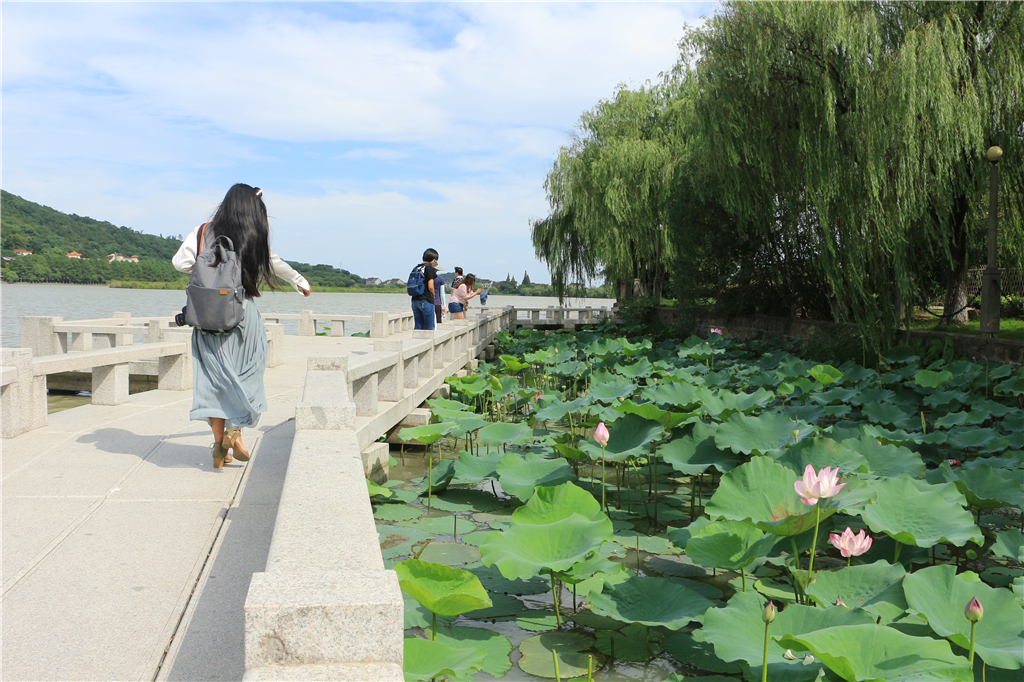 品农家菜,品农家美食