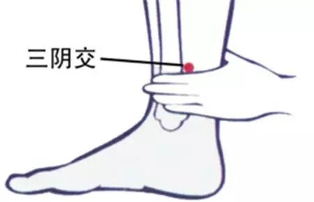 人体上千个穴位你只需要知道这10个，防病养生又长寿