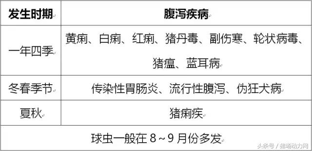 腹泻小知识图文,治疗腹泻小妙招