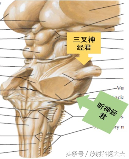 牙痛绝非小事有可能是大病前兆,牙痛可能是什么病的前兆