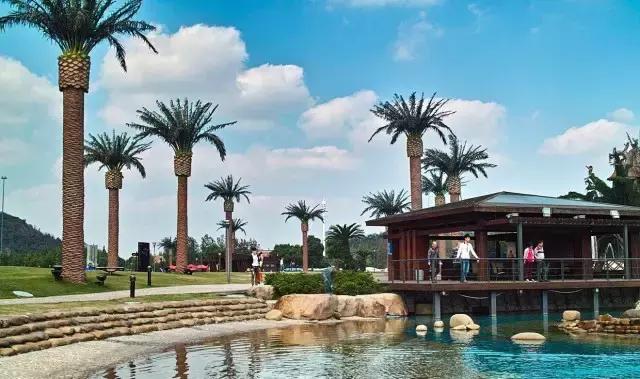 上海地铁直达花海,上海地铁9号线景点