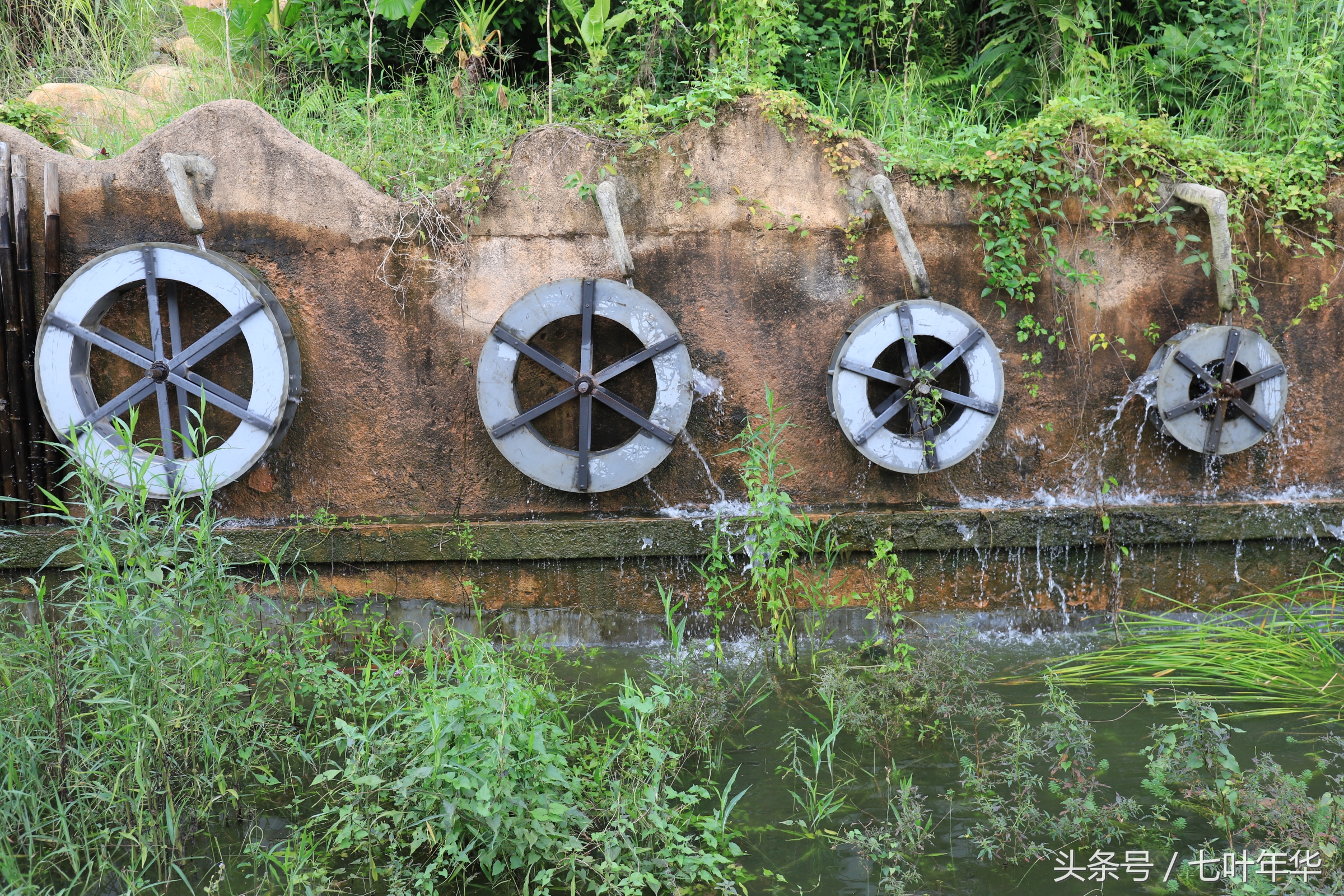 看水中古建筑，深圳观澜山水田园值得一去
