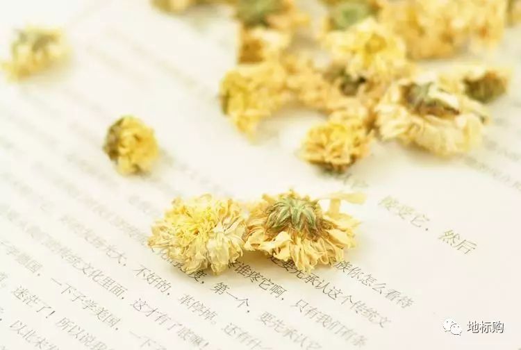 黄山贡菊解腻,经常喝黄山贡菊