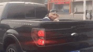 酒厂招聘品酒师笑话,宝丰酒厂招聘品酒师