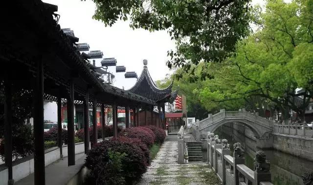 上海地铁直达花海,上海地铁9号线景点