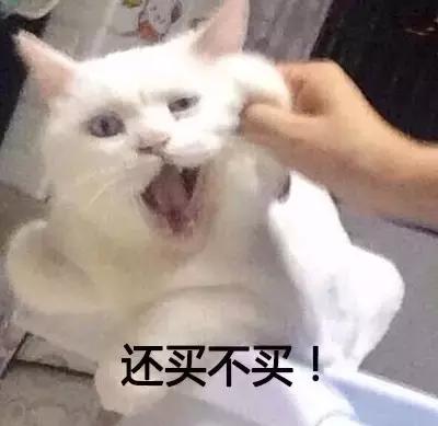 孙俪新剧未拍先火,孙俪看了甄嬛传