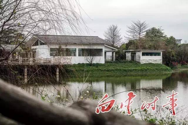 白云区打造新城区,中央湿地规划