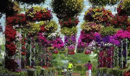 上海地铁直达的好玩的地方,上海坐地铁就能去的景点