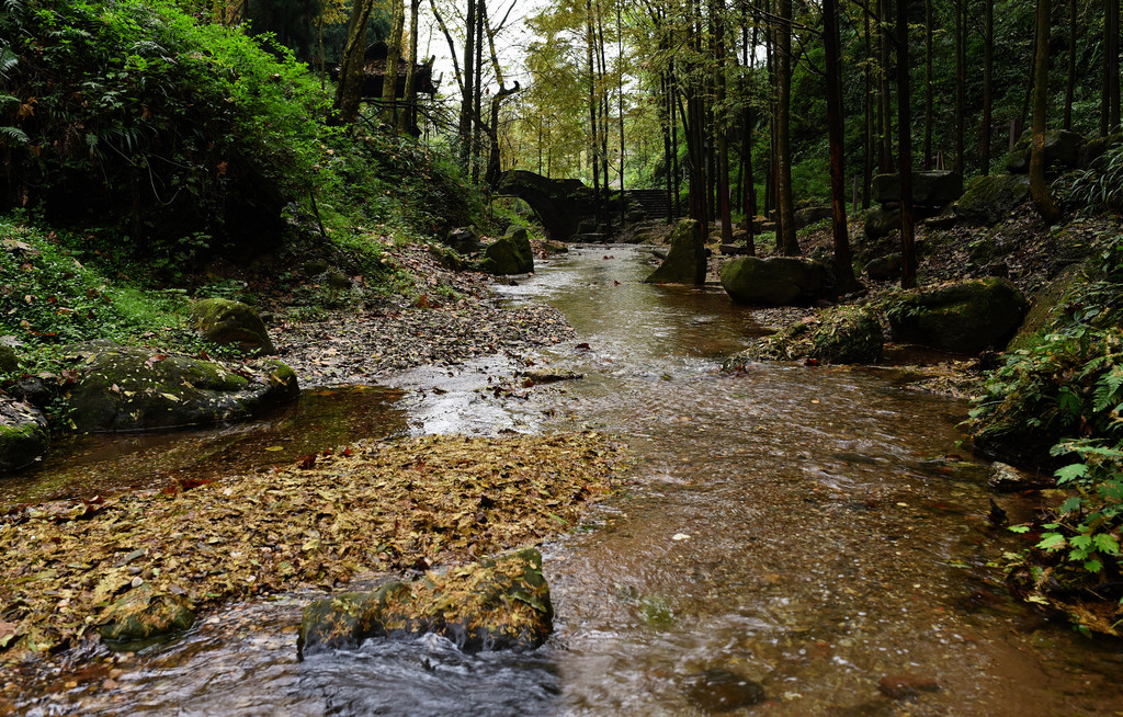 你真的了解四川吗,真实的青城山
