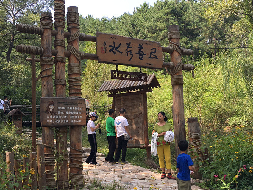 厉害了这个四线小城,厉害了滕州有这么一个小村庄