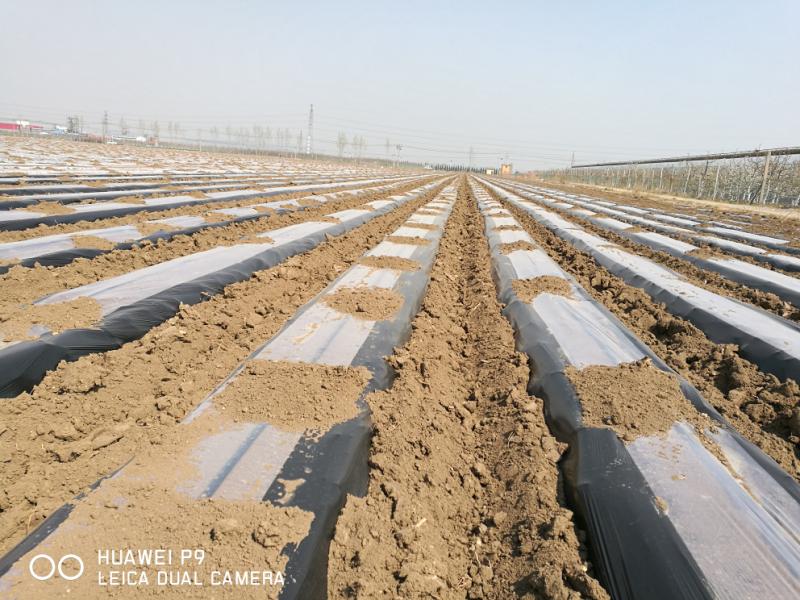 清田全生物可降解地膜,清田地膜