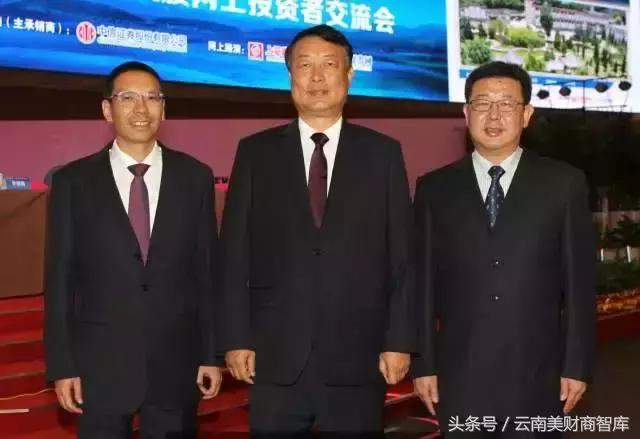 大理第一家上市公司,大理概念上市公司