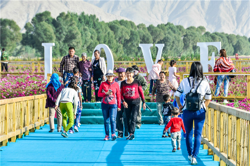 肃北七彩花海,肃北百亩花海在哪里