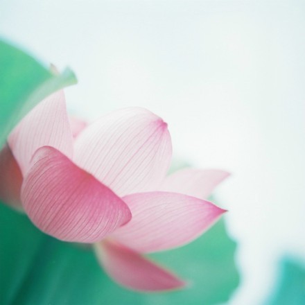 心情不好怎么快速开心,心情不好怎么快速发泄