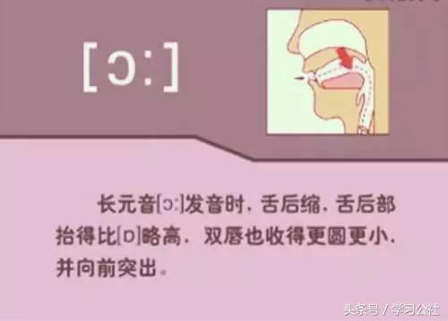 夏沫英语48个音标教学视频,英语音标教学视频48个快速记忆法