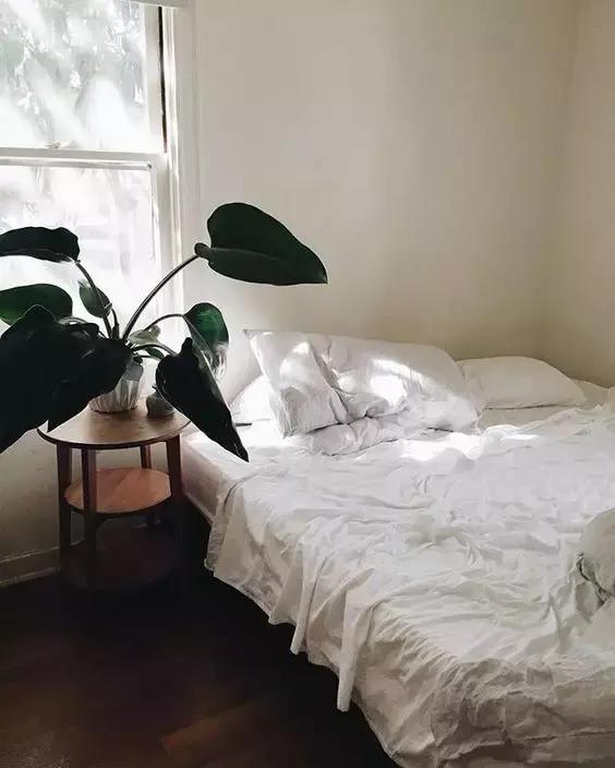 独居舒适的温馨小窝,适合蜗居的小窝