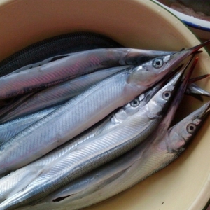 中国人经常吃的海鱼,中国人一般常吃的鱼