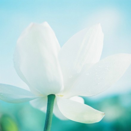 心情不好怎么快速开心,心情不好怎么快速发泄