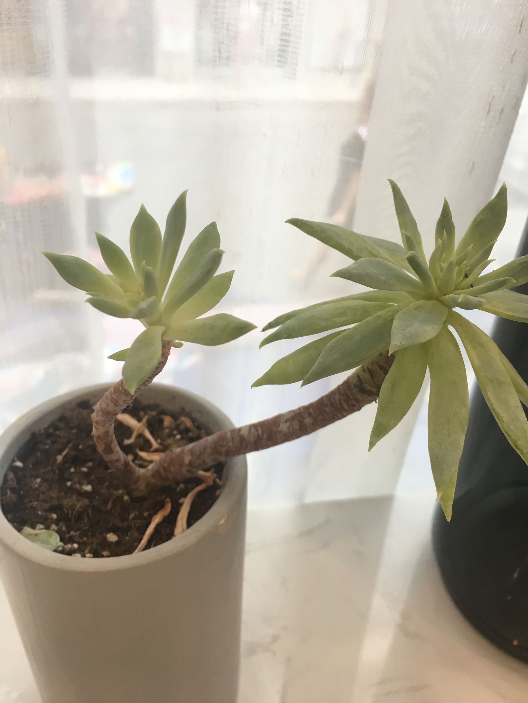 老公嫌我邋遢老骂我,老公天天嫌弃我懒