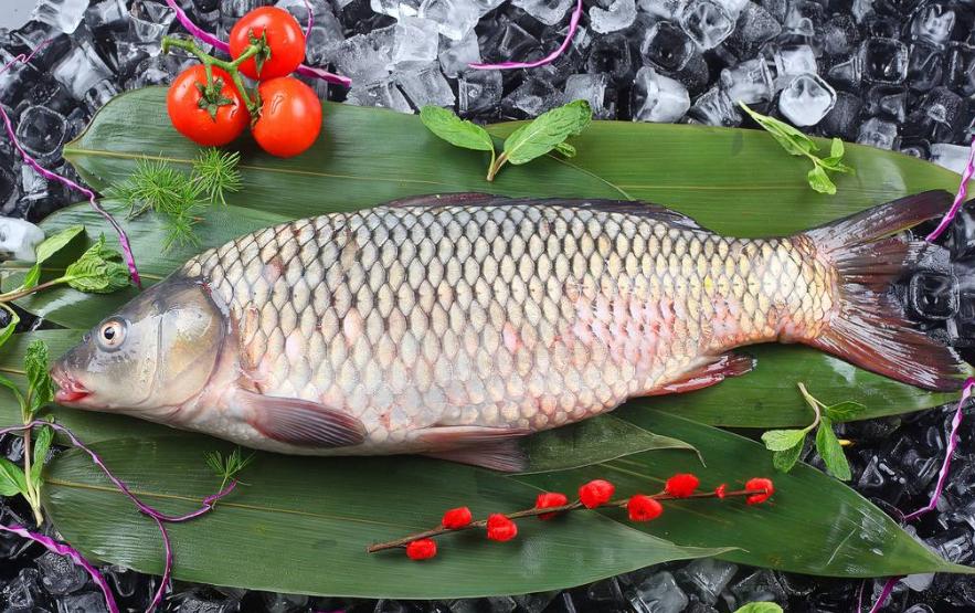 青鱼和花鲢鱼的区别图片,青鱼和花鲢鱼是一种鱼吗