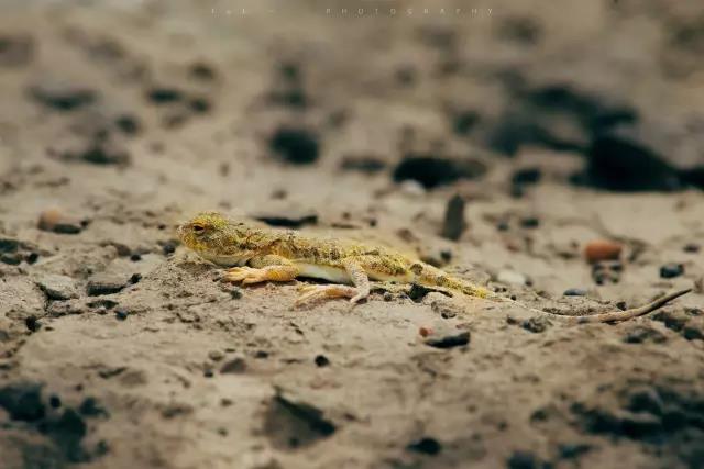 回顾：旧梦之域，新辟之疆‖这是一个让我魂萦梦绕的地方