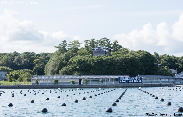 akoya珍珠深度解读,akoya珍珠怎么那么小