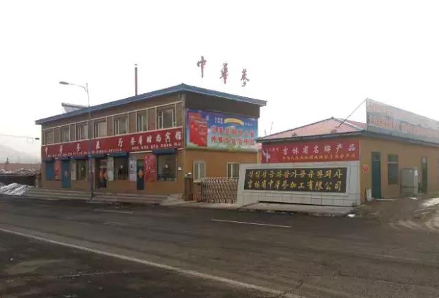 回顾2017第三届图们江国际旅游食运会精彩瞬间!延边最受欢迎特产花落谁家?