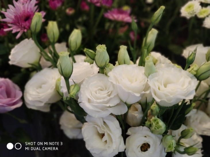 高颜值的拍照旗舰小米Note3拍照以及性能到底如何？