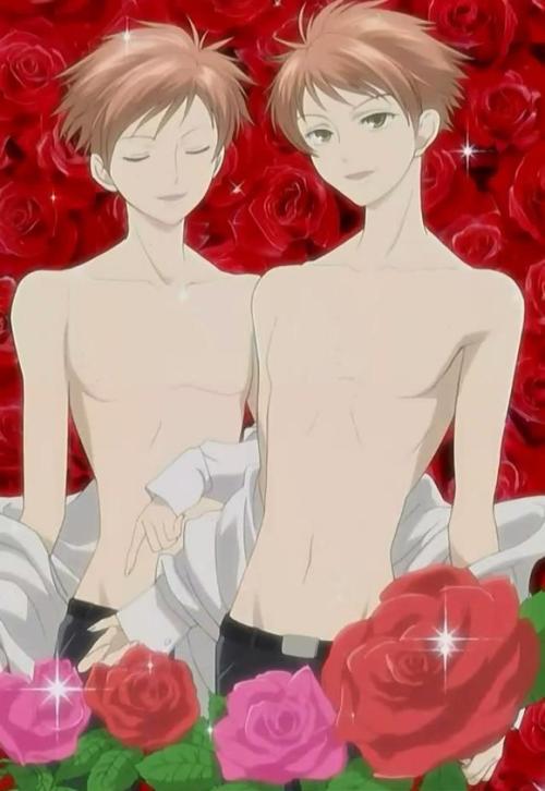 樱兰高校男公关部纯爱吗,樱兰高校男公关部动漫一口气看完