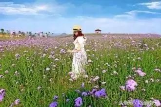 广西深秋好看的地方,广西的秋天哪里风景最美