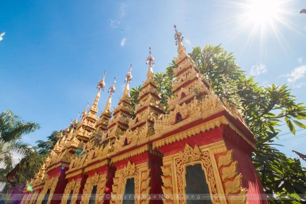 鏅幢椴滀负浜虹煡,鏅幢浣犱笉鐭ラ亾鐨勪簨