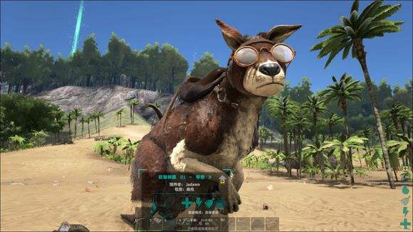 这可能是世界上最野的抓猛兽指南了，动物园的驯兽师看完全跪了！