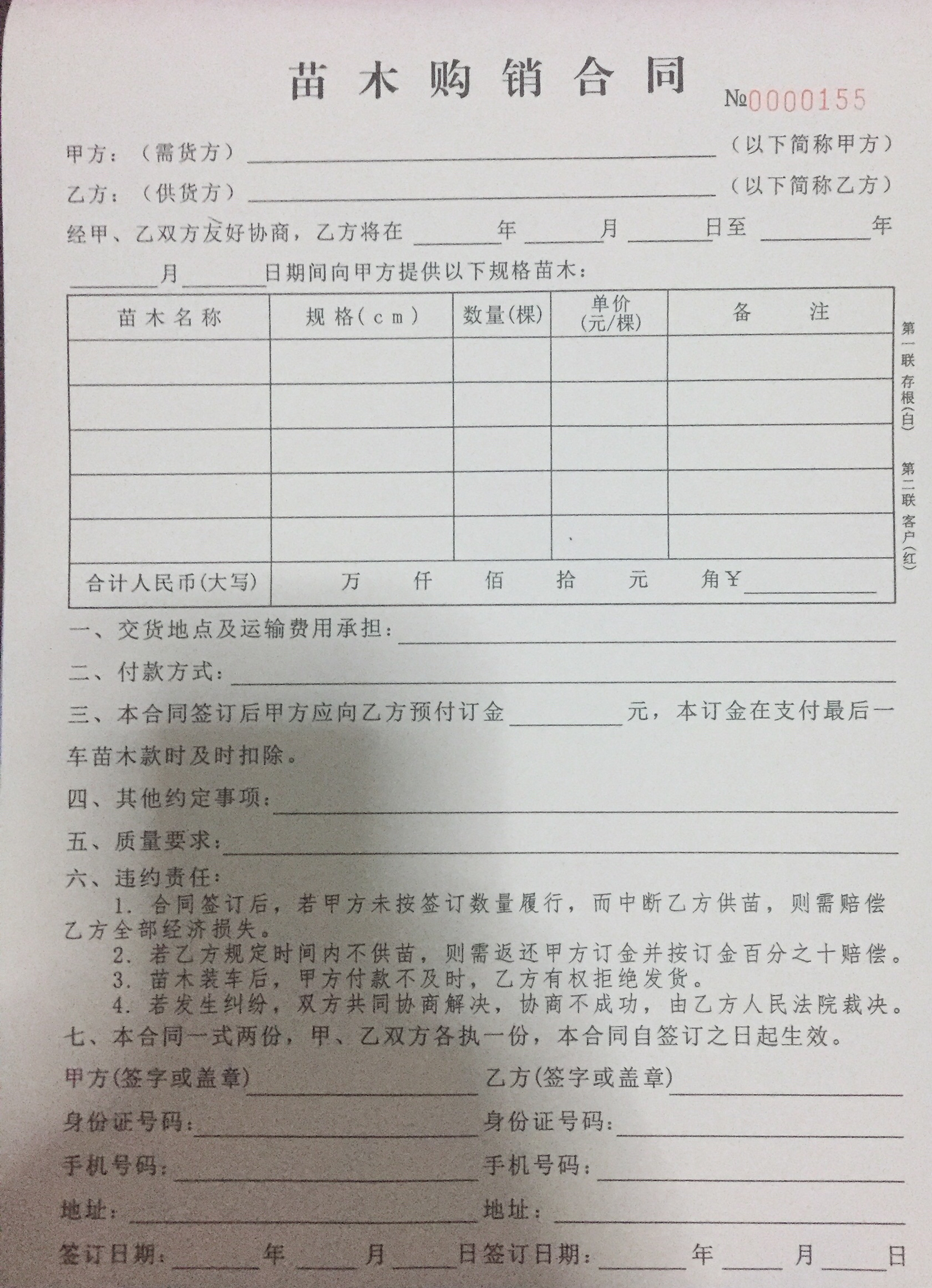 银杏树报价行情联系方式,银杏树门票预订官网